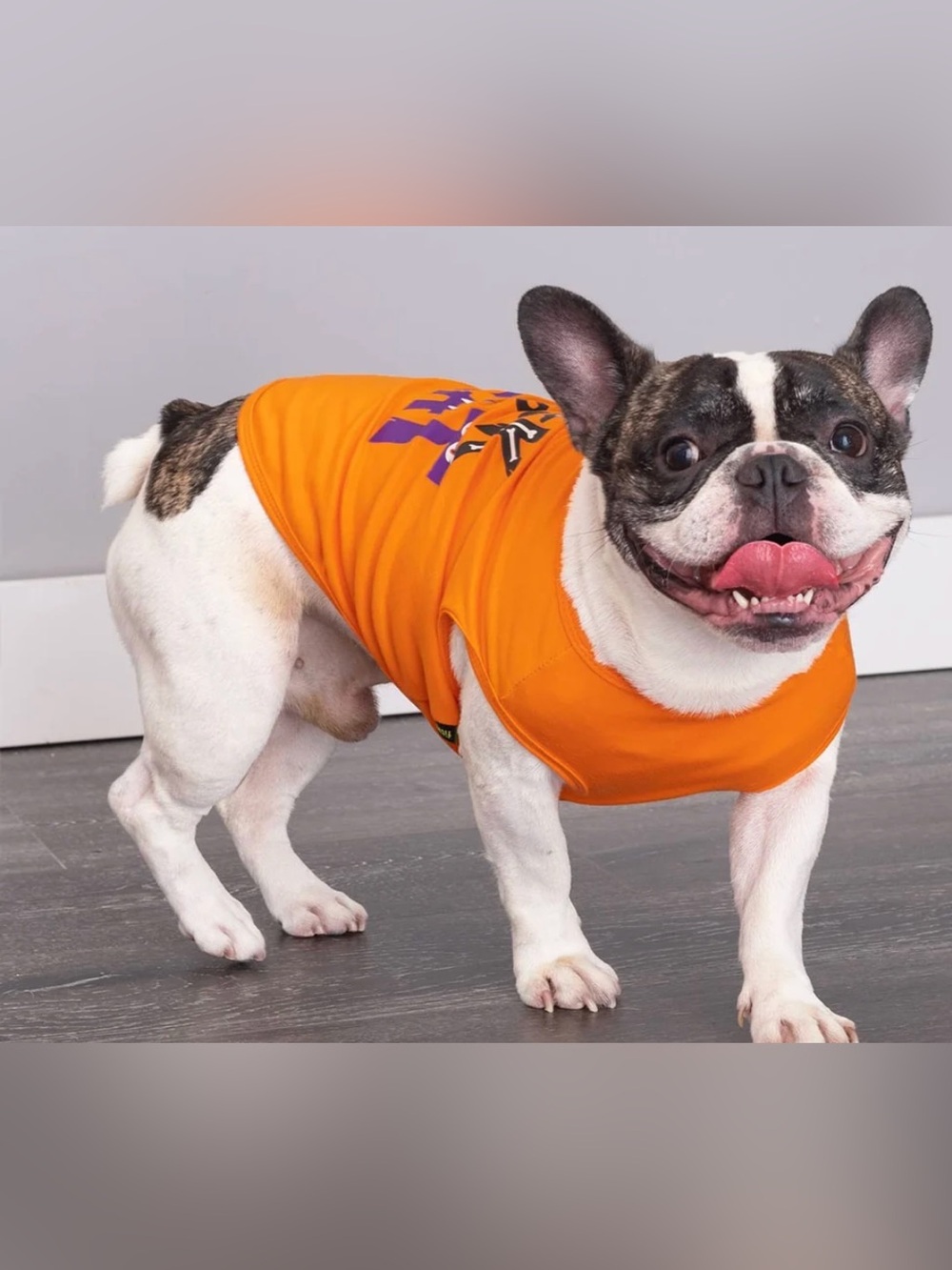 Thrills & Chills Dog/Cat Happy Halloween Orange Costume